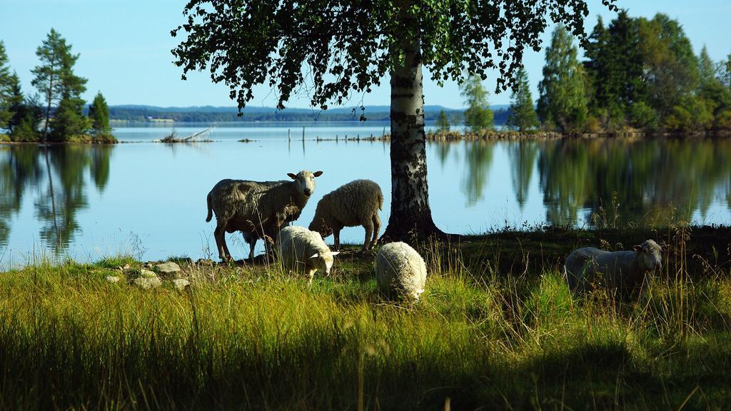 Lits Camping, Stugby Och Kanot المظهر الخارجي الصورة