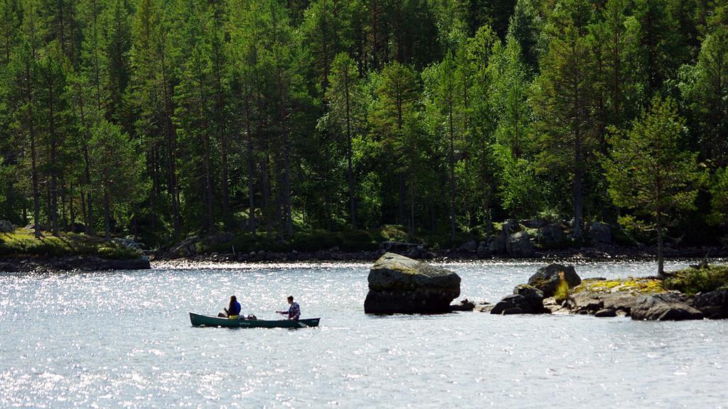 Lits Camping, Stugby Och Kanot المظهر الخارجي الصورة